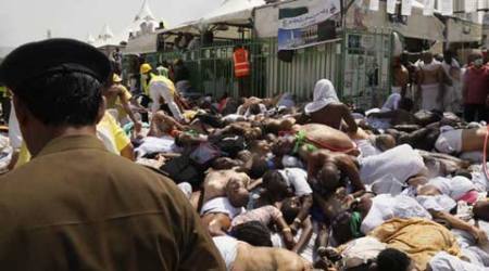 hajj, hajj tragedy, hajj deaths, hajj stampede, hajj pilgrimage, haj, haj tragedy, haj deaths, haj stampede, mina, hajj death toll, haj death toll, haj news, hajj news, world news, news, latest news