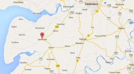 cow slaughter, gujarat cow slaughter, gujarat animal cruelty act, gujarat jambusar, gujarat news, india news, top stories