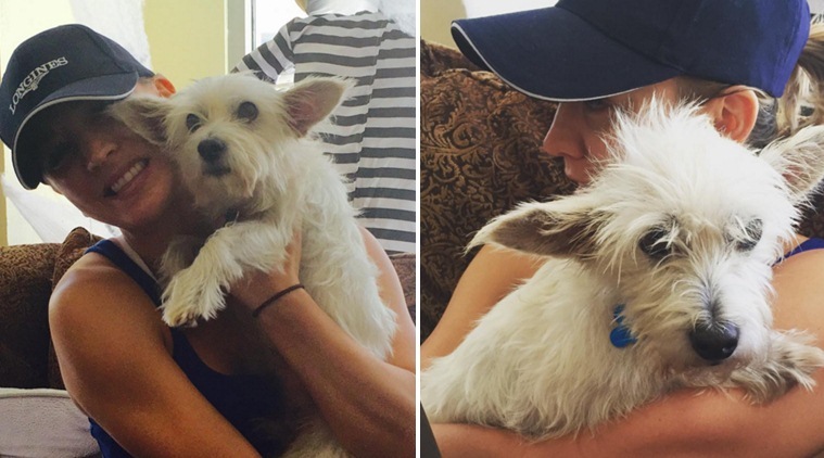 Kaley Cuoco, Kaley Cuoco Dog, Kaley Cuoco Puppy, Kaley Cuoco Doggie, Kaley Cuoco Dog Chester, Kaley Cuoco pics, Kaley Cuoco Dog Pics, Entertainment news