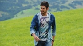 Mahesh Babu, Brahmotsavam, Sangeet, Mahesh Babu Brahmotsavam, Mahesh Babu Sangeet, Mahesh Babu in Brahmotsavam, Mahesh Babu Sangeet song, Brahmotsavam Sangeet Song, Brahmotsavam song, Sangeet Song, Sangeet Song Brahmotsavam, Mahesh Babu Brahmotsavam Movie, rs 3.5 crore sangeet song, Entertainment news