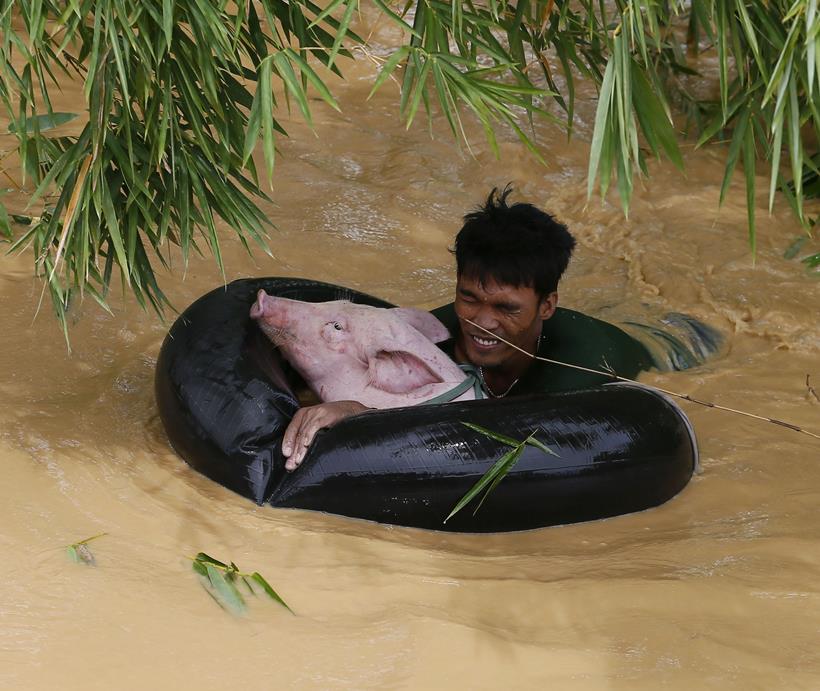 typhoon Koppu, Philippines, Philippines Typhoon, Typhoon Koppu damage, Typhoon Koppu Philippines, Typhoon Koppu Philippines damage, Typhoon Koppu photos, philippines typhoon photos, philippines news, typhoon koppu news, philippines photos, world photos, world news