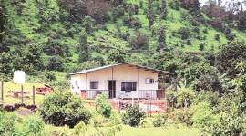 illegal construction, illegal construction at Koyna Wildlife Sanctuary, Koyna Wildlife Sanctuary, mumbai news, indian express