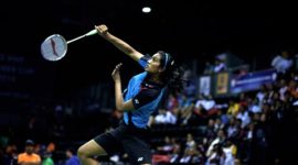 PV Sindhu, PV Sindhu Danish Open, Danish Open PV Sindhu, Sindhu Sports, Sports News, Sports