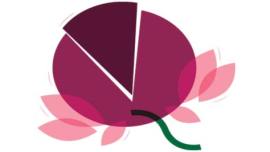 jharkhand, bjp, jharkhand bjp, tribal quota, primitive tribal quota, Chief Minister Raghubar Das, primitive tribal groups quota, reservation, primitive tribal groups reservation, indian express news, india news