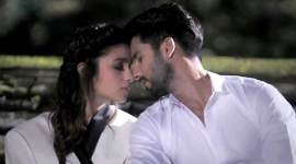 Shaandaar, shahid kapoor, alia bhatt, Shaandaar movie, Shaandaar collection, Shaandaar box office collections, Shaandaar money, Shaandaar business, Shaandaar earnings, shahid kapoor Shaandaar, alia bhatt Shaandaar, entertainment news