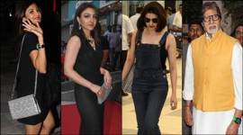 shilpa shetty, shilpa shetty photos, amitabh bachchan, amitabh bachchan tiger rally, soha ali khan, soha ali khan photos, pracchi desai, pracchi desai photos, aishwarya sakhuja, tina dutta, dimple jhangiani