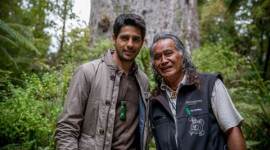 Sidharth Malhotra, Sidharth Malhotra new zealand, Sidharth Malhotra new zealand trip, Sidharth Malhotra news, Sidharth Malhotra films, Sidharth Malhotra movies, Sidharth Malhotra tattoo, Sidharth Malhotra hot, Sidharth Malhotra photos