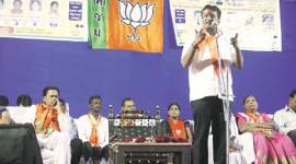 bjp, gujarat polls, gujarat elections, bjp promotion, bjp poll campaign, bjp campaign, india news