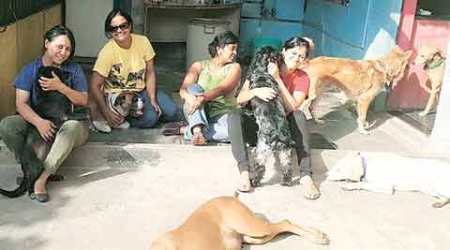 Abandoned dogs, pedigreed breeds, CUPA, animal welfare CUPA, PAWS, NGOs dogs care, Ridhima Coelho, Sanjana Madappa CUPA, Nation news, india news