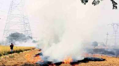 A field on fire near Moga in Punjab.