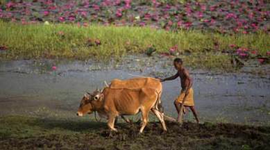 gujarat, gujarat land bill, gujarat land amendment bill, Land ceiling amendment Bill, gujarat Land ceiling amendment Bill, gujarat land bill amendments, president gujarat amendment, gujarat news, india news