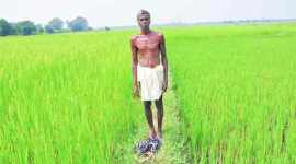 Farmer Suicide, Marathwada, Beed, Maharashtra, Farmer problems, Farmer suicide india, Farmer suicide marathwada, farmer suicide beed