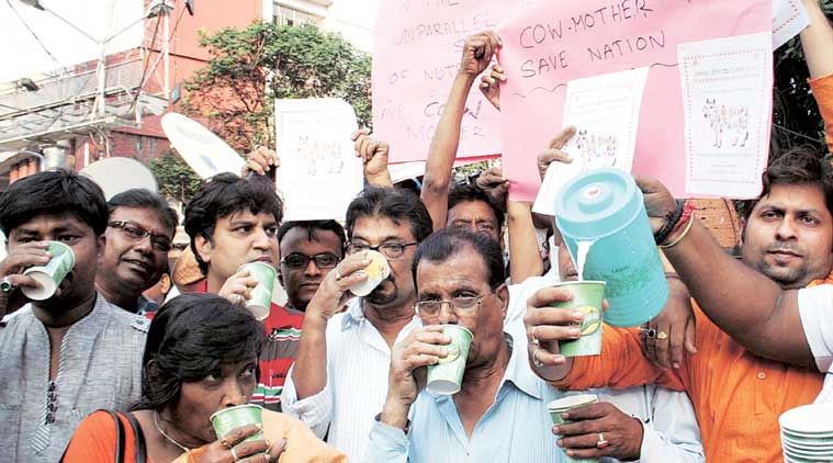 BJP supporters during ‘Gomata Utsav’ in Kolkata on Sunday. (Express Photo)