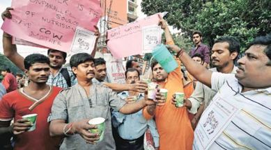 bihar election results, bihar 2015 election results, bihar polls results, bihar election, bihar polls, bihar polls results, nitish kumar, lalu prasad yadav, grand alliance, mahagathbandan, bihar, bihar news, india news, latest news