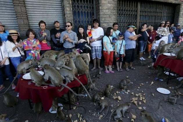 It’s all monkey business at Thailand’s Monkey Buffet Festival ...