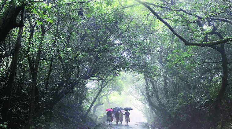 diwali cheer, diwali offer, mahabaleshwar, mahabaleshwar tourism, pune news