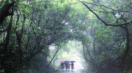 diwali cheer, diwali offer, mahabaleshwar, mahabaleshwar tourism, pune news