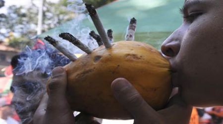 colombia, colombia marijuana, marijuana, marijuana legalization, medical marijuana, colombia medical marijuana