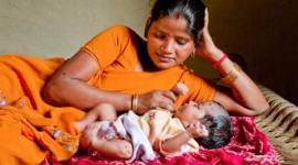 national education policy, NEP, primary education, primary education teachers, maternity leaves, teachers maternity leaves, gujarat report on NEP, gujarat national education policy, gujarat news, india news, education news, latest news