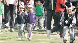 learning, children, brain development, early learning, education, health, news, health news, latest news, world news, international news, US news, Cristina Alberini, New York University