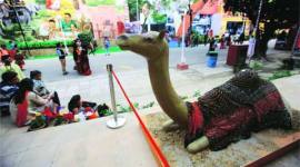 pragati maidan, ITPO, pragati maidan makevoer, DUAC, delhi news