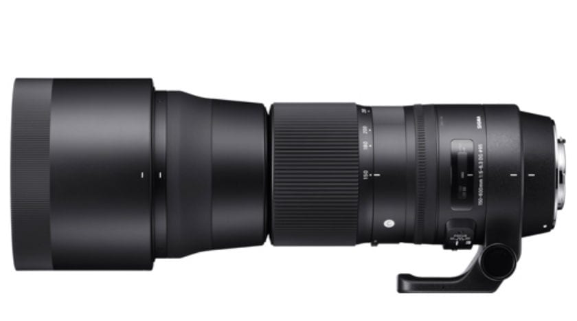 Sigma 150-600mm lens test drive: This is ideal for birdwatchers 2 Sigma, Sigma lens, Sigma 150-600mm lens, Sigma 150-600mm lens photos, Sigma 150-600mm lens features, Sigma 150-600mm lens pictures, technology, technology news