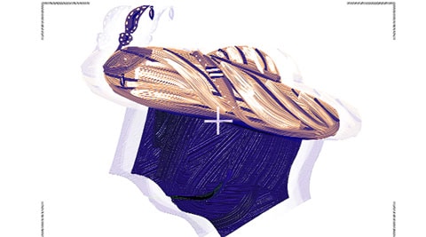 Tipu Sultan, professional historian, kingdom of Mysore, Hyder Ali, Aurangzeb’s death, mughal empire, European trading companies, hyder ali, indian express columns