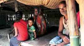 bihar polls, bihar elections, bihar polls 2015, bihar news, bihar elections, bihar news, latest news, patna news, india news, JDU rjd bihar, bihar elections counting