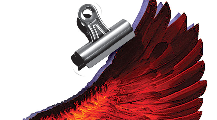 Illustration by C R Sasikumar