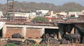 chandigarh, chandigarh development, chandigarh construction, chandigarh bylaws, chandigarh villages, chandigarh news
