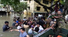 Chennai flood, Chennai, chennai rains, Kerala Assembly, Chennai flood relief, Tamil nadu floods, Chennai rescue work, Floods rescue work, Chennai latest news, india news
