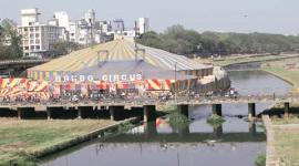 rambo circus, circus, rambo circus performance, rambo pune, pune news