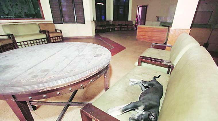CITCO, CITCO sale, CITCO market, chandigarh news