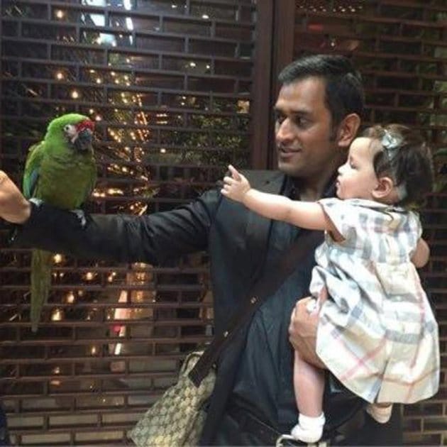 Ms Dhoni Daughter Ziva S Adorable Moment Clicked By Mom Sakshi See Pics Sports Gallery News