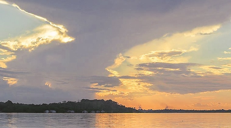 Forested island on Lago (Lake) Guri, 