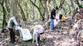 Maharashtra Vriksha Samvardhini, sacred groves, Mission Devrai, pune news