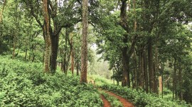 wildlife sanctuary, National Board for Wildlife, NBWL, gas extraction, Environment ministry, india news