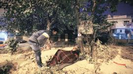 hardlook-2 weather, delhi weather, winter, winter night, delhi winter night, IMD, temperature, delhi temperature, delhi news