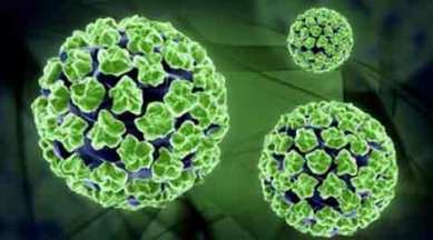 delhi, delhi hpv vaccine, delhi schools, delhi schools hpv vaccine, human papilloma virus, HPV, Gavi, HPV vaccine, GAVI, delhi news, india news