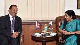 south asia, indo nepal, india relations with nepal, indo nepal relations, nepali constituency, kathmandu news, madhesi, blockade at nepal border