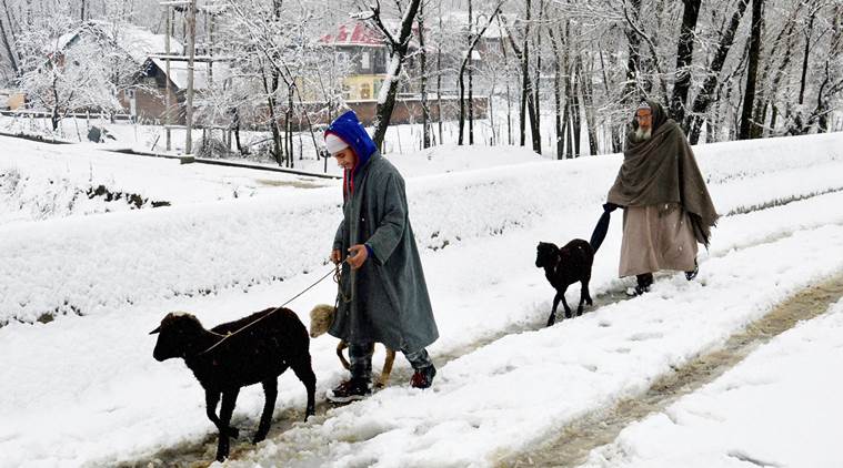 Anantnag : An elderly man along with his grandson walks with their sheep on a snow covered road after heavy snowfall, at Dooru Shahabaad in Anantnag district on Saturday. PTI Photo (PTI12_12_2015_000136B)