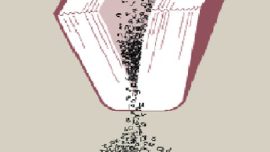 intolerance debate, secularism, secularism in india, constituion of indian, constitution day debate, india news, latest news, m j akbar, m j akbar's column, indian express column