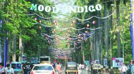 environment protection, IIT, IIT-B, IITY-B environment protection, Mood Indigo, Mood Indigo cultural festival, IIT-B cultural festival, mumbai news