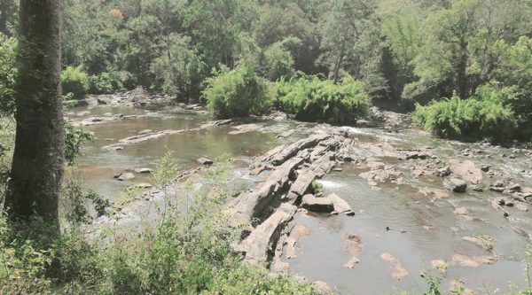 A river runs through it: The Chalakudy river keeps trekkers company along the length of the trail