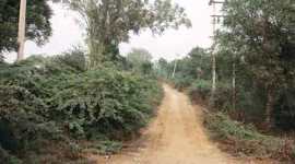 delhi, delhi rape, odisha girl raped, odisha girl sold, delhi girl sold, delhi girl raped, palwal, trafficking, delhi news