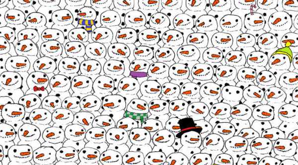 Can you spot the panda?/ Facebook