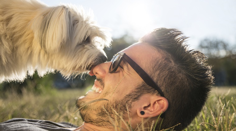 Cool dog playing with his owner
