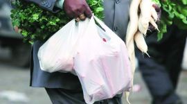 plastic, plastic ban, ban on plastic, NGT, chandigarh news