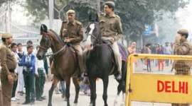 Delhi police, Delhi police horses, Feroze horse, Tarzan horse