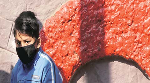 Mexico, Delhi, Mexico pollution, mexico air pollution, delhi air pollution, Melba Pria , Mexico ambassador to India Melba Pria, AAP, odd even scheme, air pollution scheme, air quality, delhi air quality, delhi air polution, delhi news